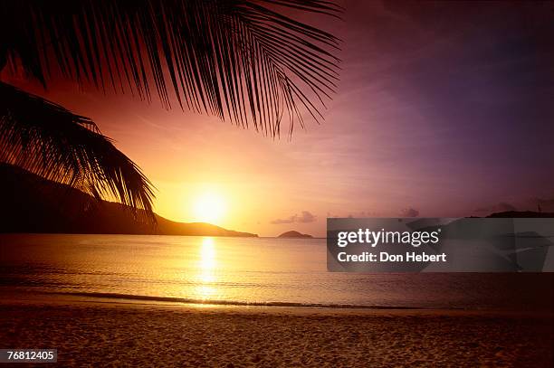 beach sunset - magens bay fotografías e imágenes de stock