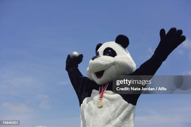 panda celebrating - talisman stock pictures, royalty-free photos & images