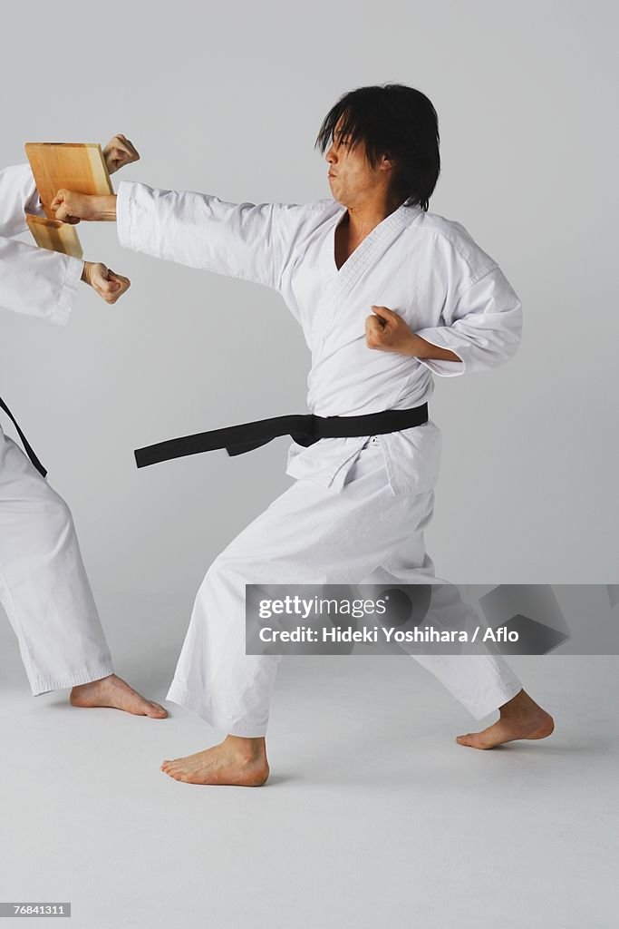 Blackbelt Doing a Front Kick