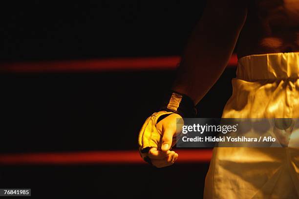 fighters tool - mma ring stock pictures, royalty-free photos & images