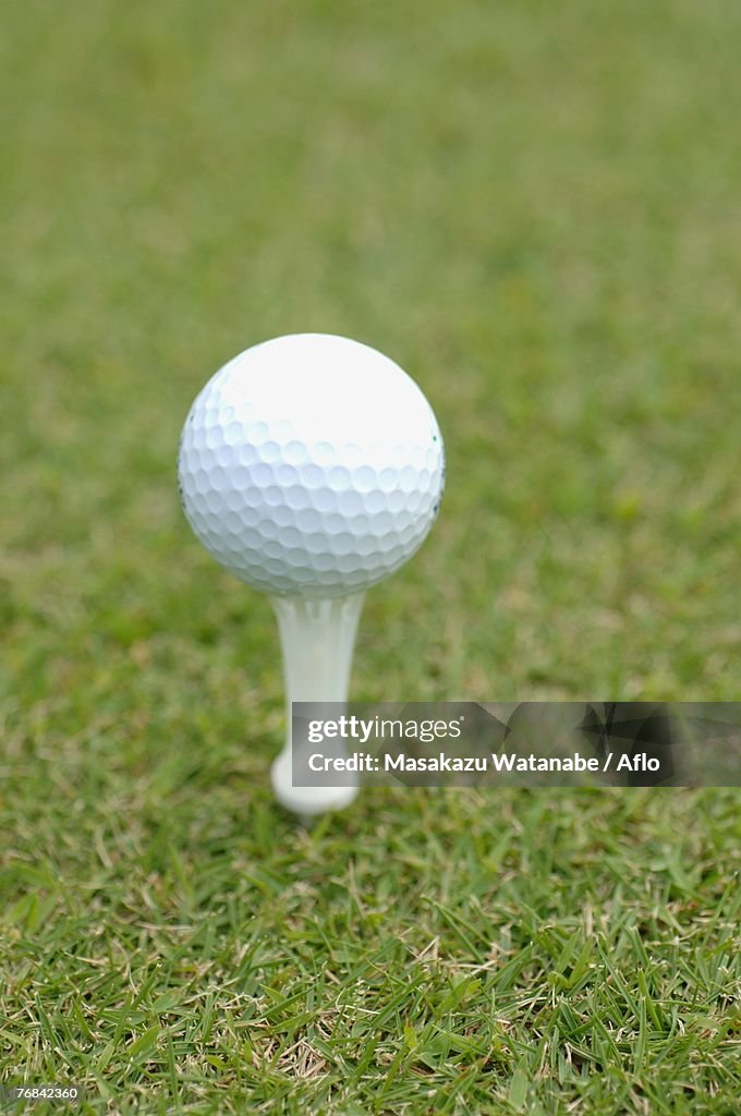Close up of a golf ball placed on the golf tee