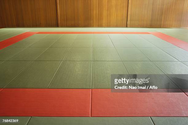 empty judo dojo - tatami mat stockfoto's en -beelden