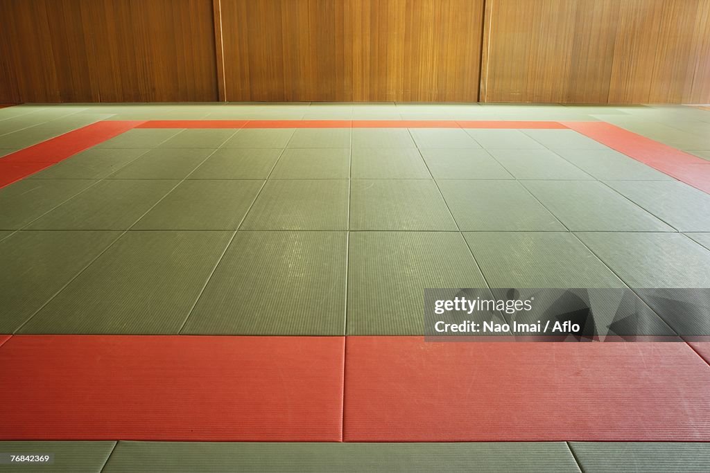Empty Judo Dojo