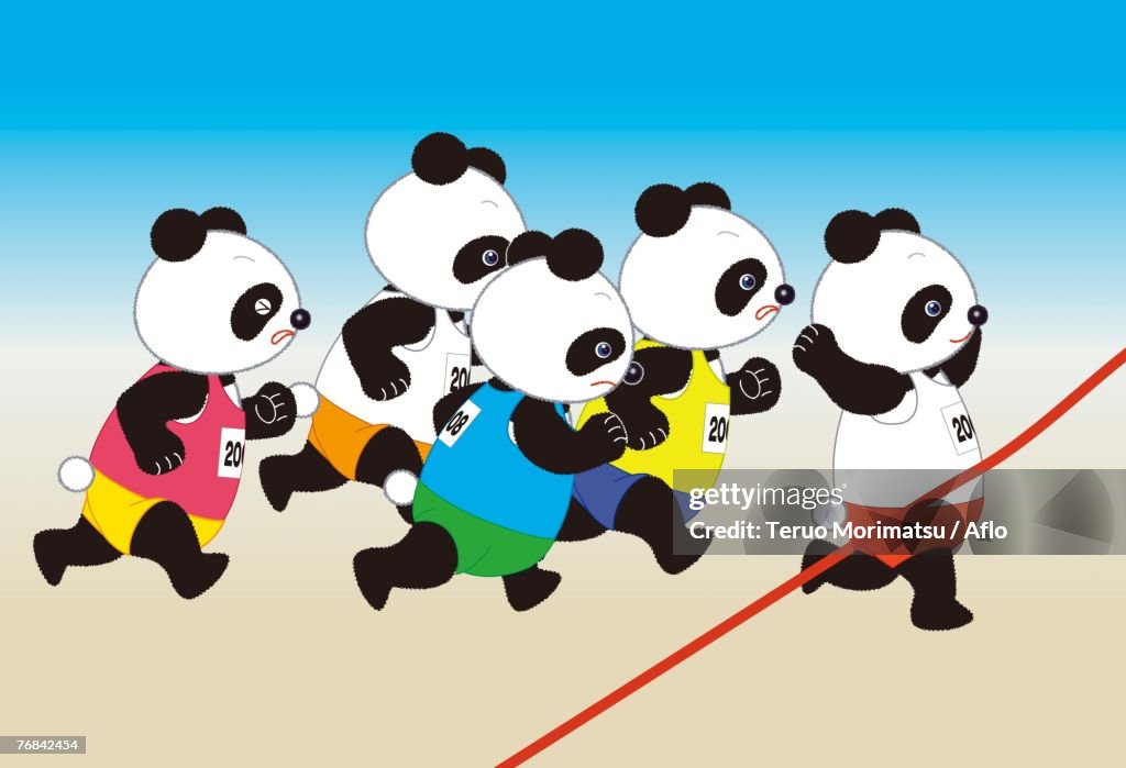Panda Marathon Runners