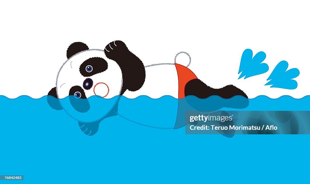 Male Panda Freestyle Swimmer