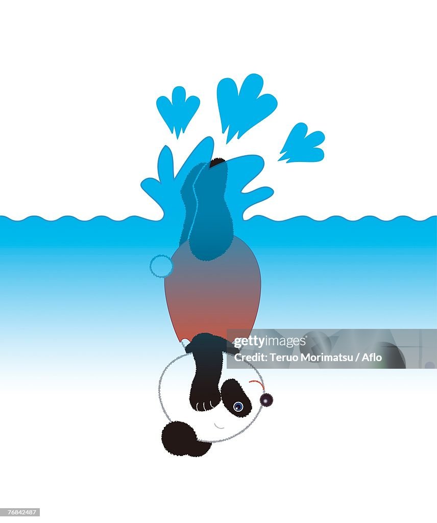 Female Platform Diver