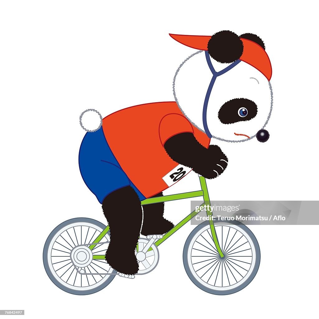 Panda Cyclist