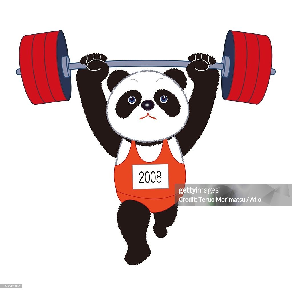 Panda Performing the Clean & Jerk
