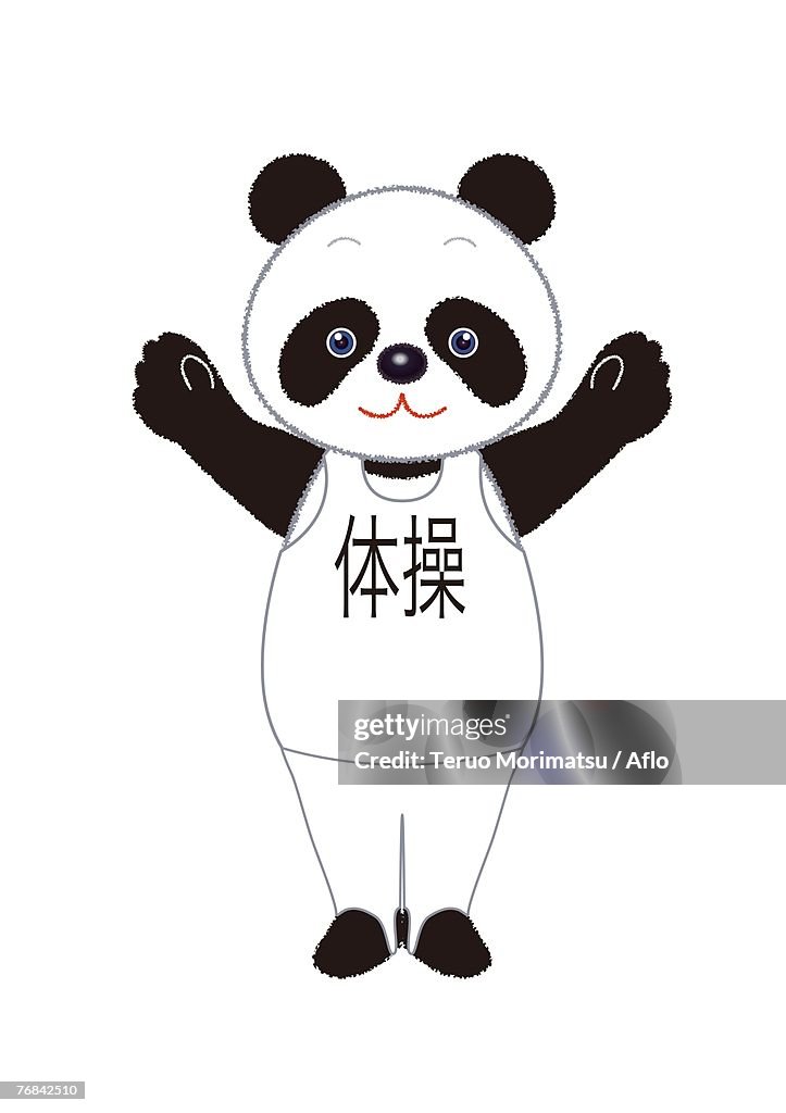 Male Panda Gymnast