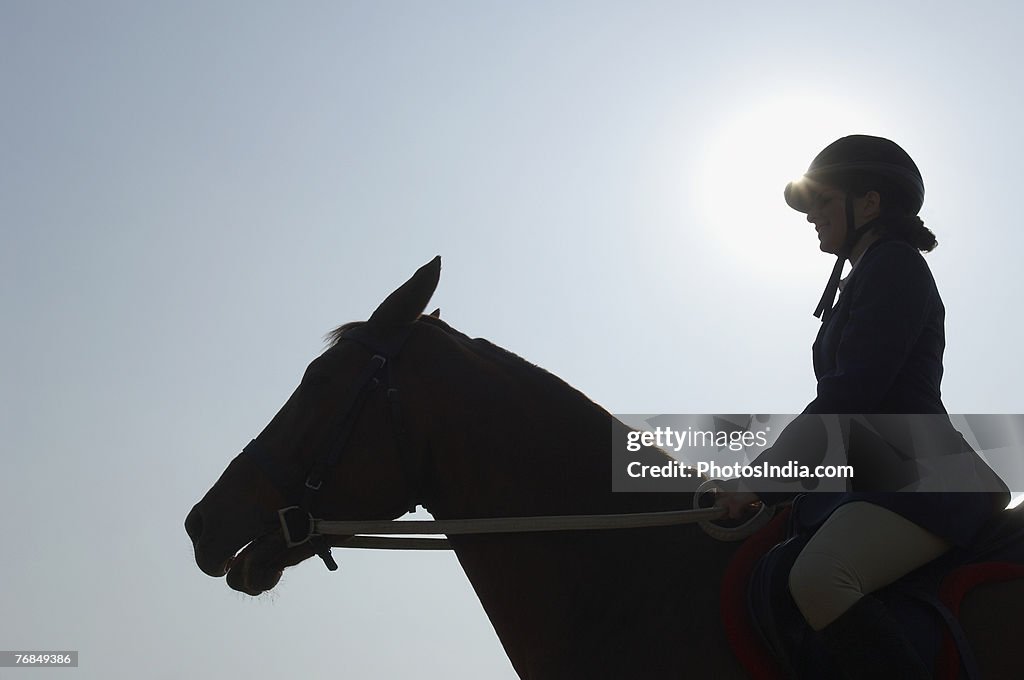 Silhouette of a female jockey riding a horse