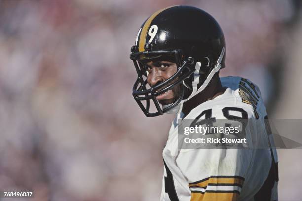 Dwayne Woodruff, Defensive Back for the Pittsburgh Steelers during the American Football Conference West game against the Los Angeles Raiders on 16...