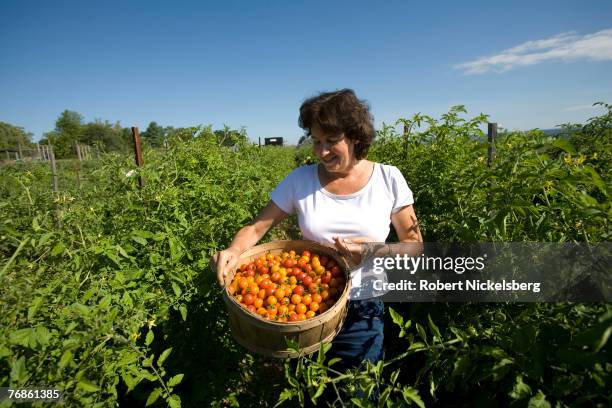 Liz Walker, 53 years, a co-founder of EcoVillage at Ithaca in 1992, stands between rows of cherry tomatoes she's helped pick in Ithaca, New York...