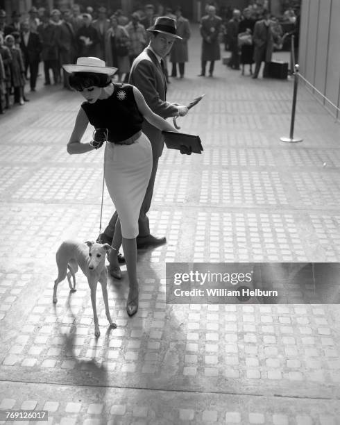 French model Simone D'Aillencourt , in straw hat, sleeveless blouse with a sunburst brooch, and a skirt, holds a whippet on a leash outside of Penn...