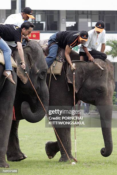 Elephant polo players battle for the ball during an exhibition match of the King's Cup Elephant Polo 2007 in Bangkok, 21 September 2007. The King's...