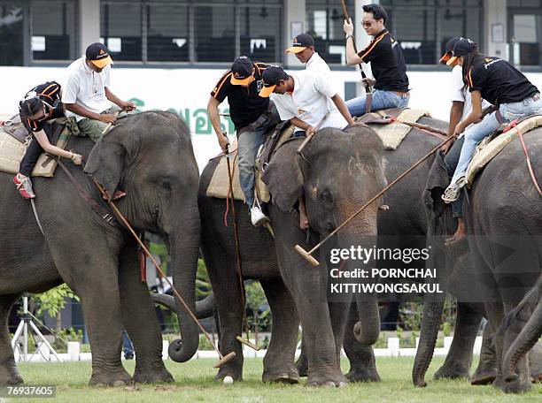 Elephant polo players battle for the ball during an exhibition match of the King's Cup Elephant Polo 2007 in Bangkok, 21 September 2007. The King's...