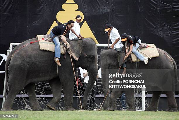Elephant polo players battle for the ball during an exhibition match of the King's Cup Elephant Polo 2007 in Bangkok, 21 September 2007. The King's...
