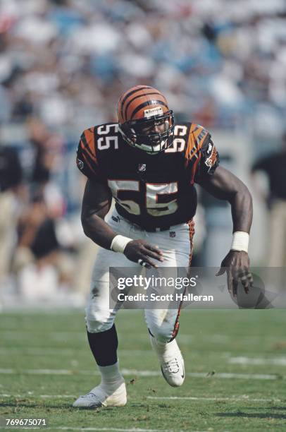 Reinard Wilson,Linebacker for the Cincinnati Bengals during the National Fottball Conference West game against the Carolina Panthers on 26 September...