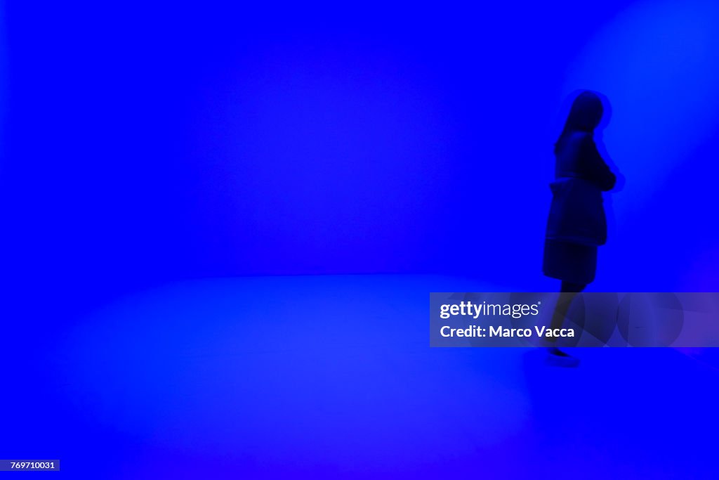The Blues High Res Stock Photo Getty Images the-blues-high-res-stock-photo-getty-images