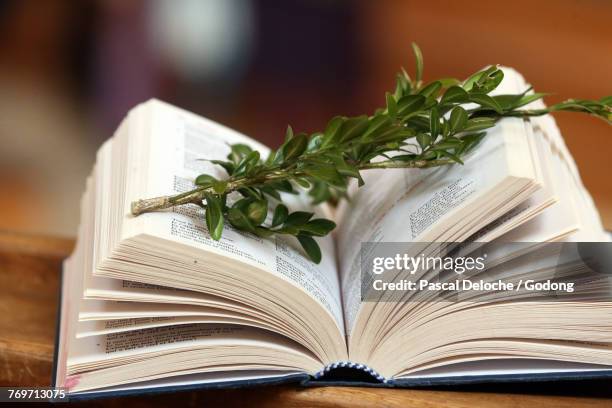holy week. palm sunday celebration. bible and boxwood. saint nicolas de veroce. france. - easter religious stock pictures, royalty-free photos & images