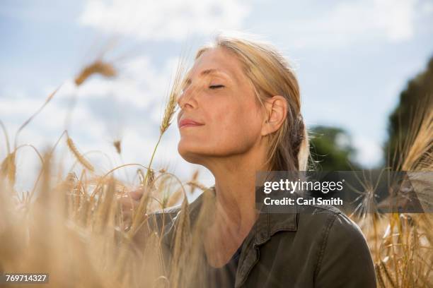 thoughtful smiling woman with closed eyes resting amidst crops at farm on sunny day - pretty older women stockfoto's en -beelden