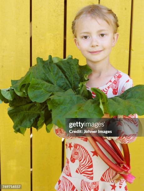 portrait of girl holding rhubarb - rabarber stockfoto's en -beelden
