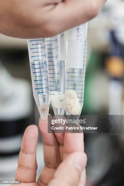 cropped hands of scientist holding animal fetus in test tubes at laboratory - dierenfoetus stockfoto's en -beelden