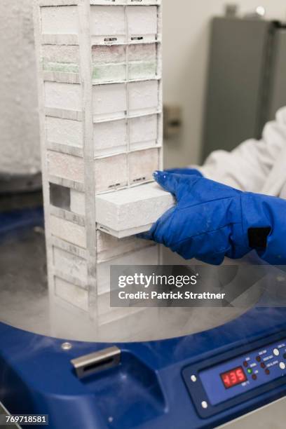 cropped image of scientist with frozen medical storage compartment at laboratory - flüssiger stickstoff stock-fotos und bilder