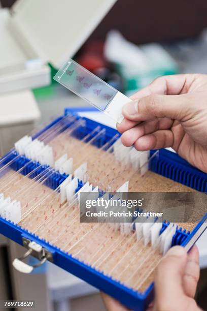 Specimen Box Photos and Premium High Res Pictures - Getty Images