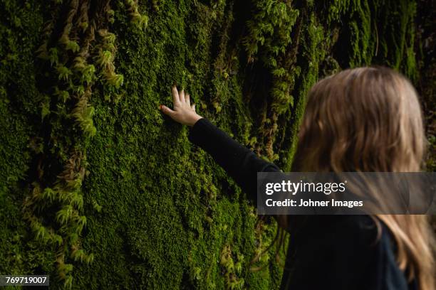 girl touching moss - rock face stock pictures, royalty-free photos & images