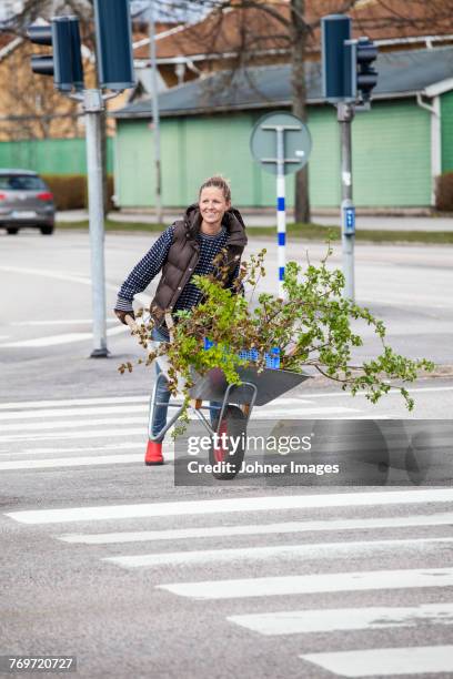 woman pushing wheelbarrow - urban gardening stock-fotos und bilder