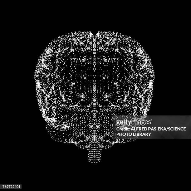 human brain, conceptual illustration, illustration - neuroscience stock illustrations