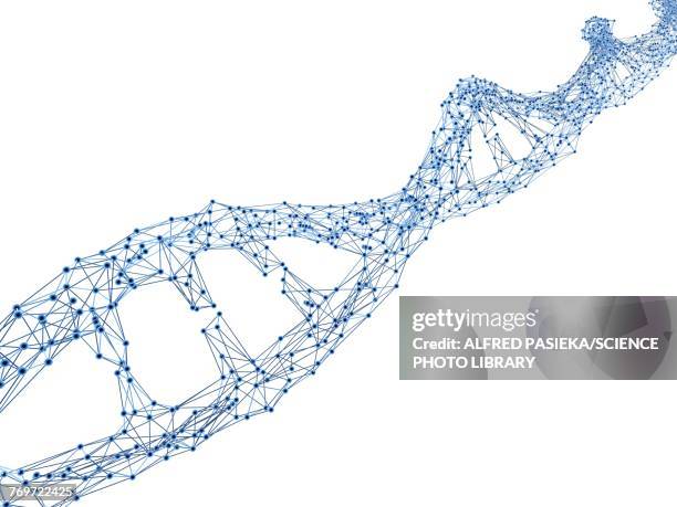 dna strand, illustration - dna strand stock-grafiken, -clipart, -cartoons und -symbole