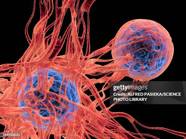 cancer cell, illustration - cell nucleus stock illustrations