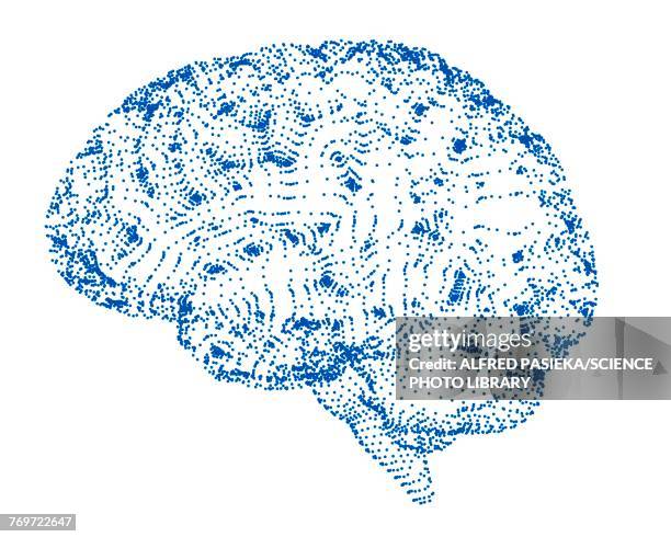 ilustrações de stock, clip art, desenhos animados e ícones de human brain, conceptual illustration, illustration - brain stem