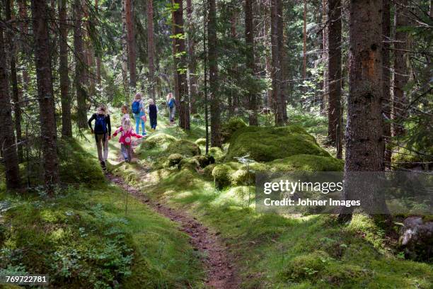 parents with children walking through forest - sweden forest stock pictures, royalty-free photos & images