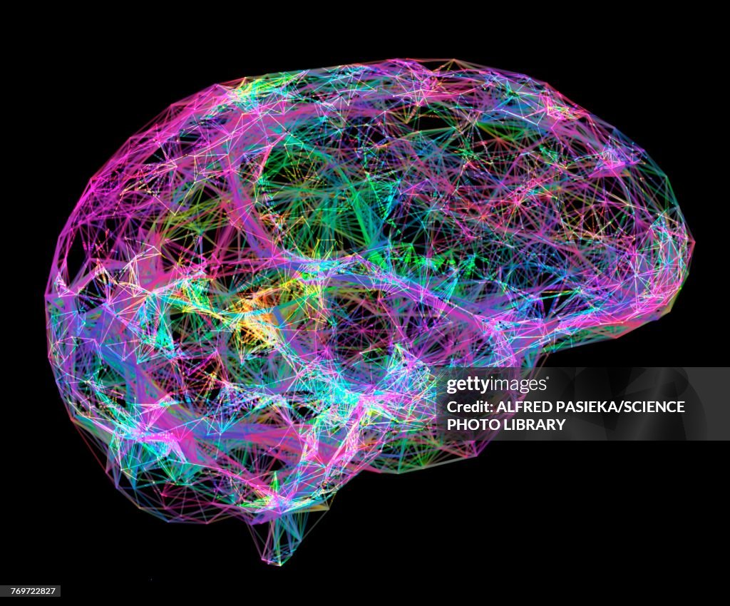Reading Brain Network Brain Neural Network Illustration 插圖檔 - Getty Images