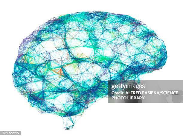 brain, neural network, illustration - künstliches neuronales netz stock-grafiken, -clipart, -cartoons und -symbole
