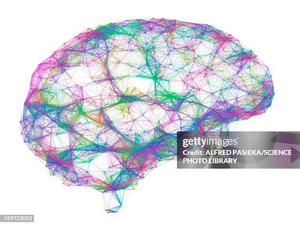 brain, neural network, illustration - neural pathways stock illustrations