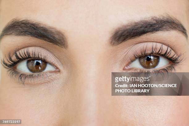 woman with brown eyes - eyelash stock pictures, royalty-free photos & images