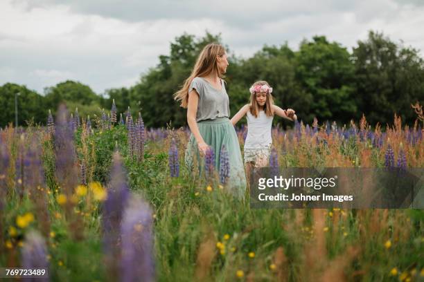 mother and daughter walking through meadow - summer solstice photos et images de collection