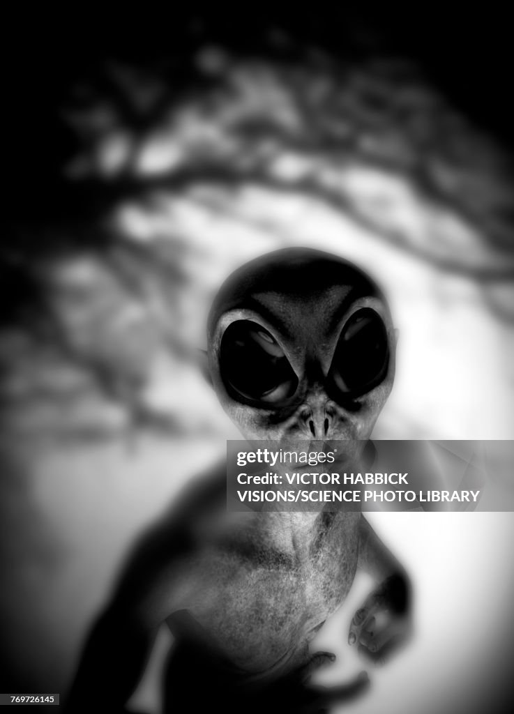 Alien