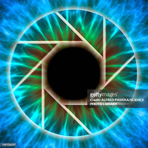 eye, iris with camera diaphragm, illustration - camara reflex stock illustrations