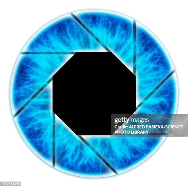 eye, iris with camera diaphragm, illustration - iris stock illustrations