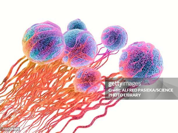 cancer cells, illustration - cancer cell white background stock illustrations