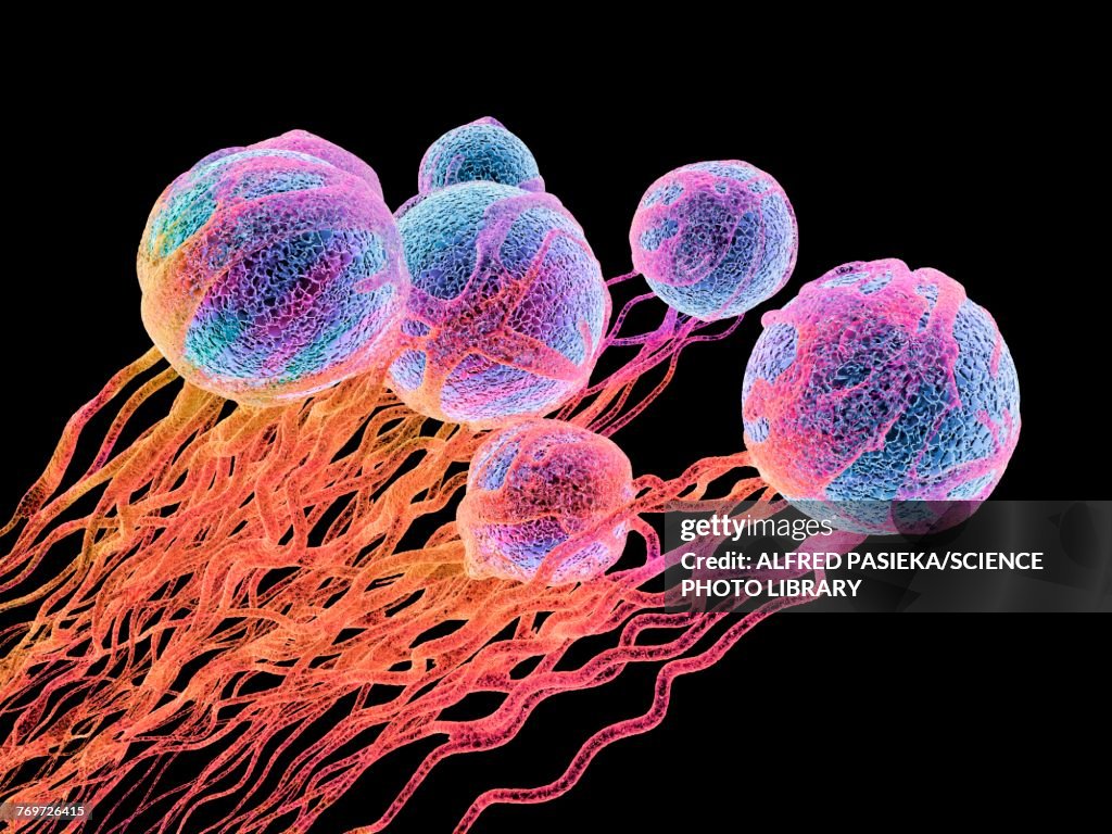 Cancer cells, illustration