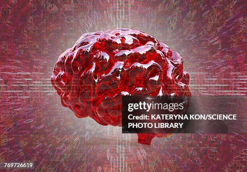 Brain, illustration Brain, illustration