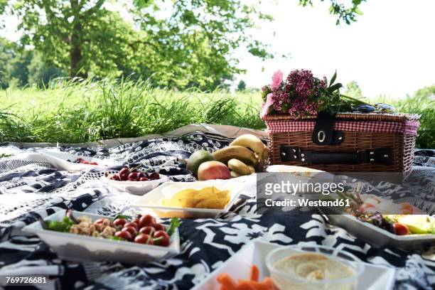 healthy picnic in a park in summer - picnic blanket stockfoto's en -beelden
