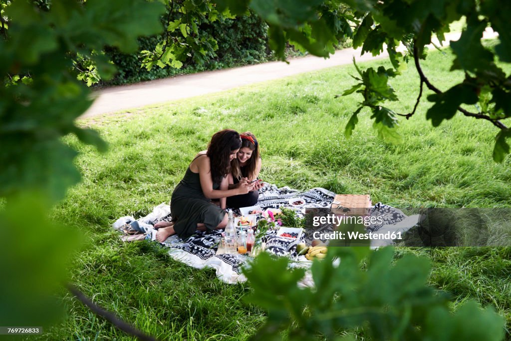 Friends having a picnic in summer, talking and looking at smartphone