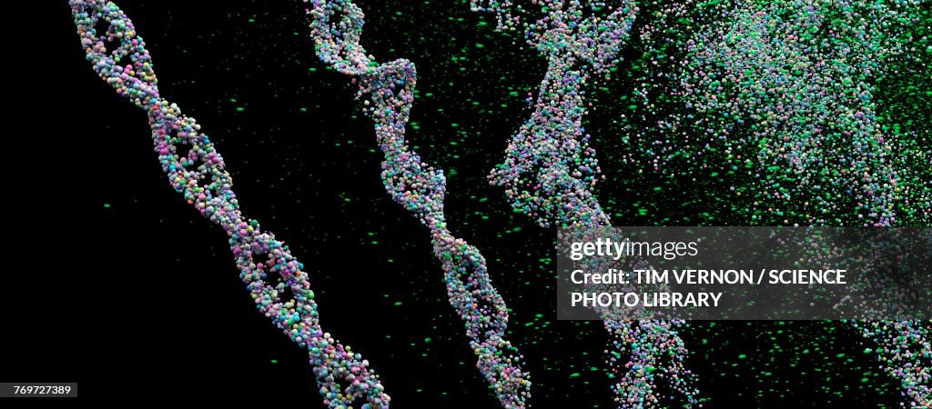 DNA strands breaking, illustration