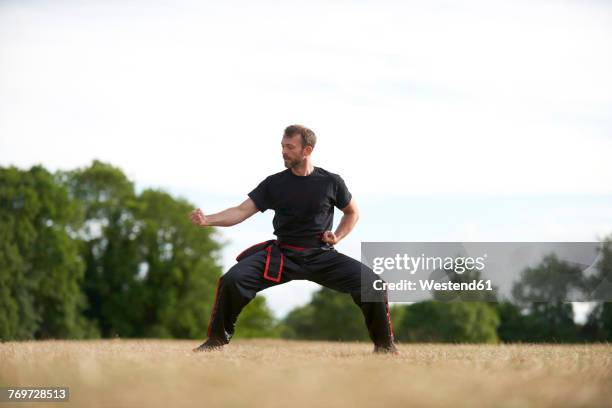 man practicing kung fu in park - kung fu foto e immagini stock